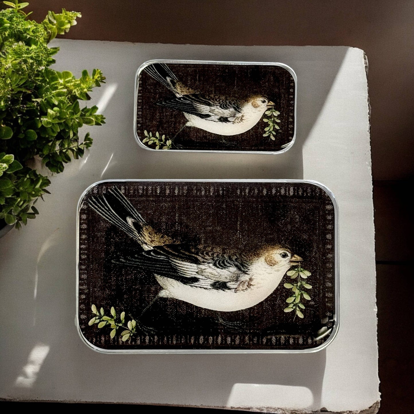 Firefly Notes Notions Tins