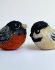 Backyard Birds Beginner Needle Felting Mini-Kit