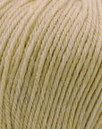 Cascade 220 Superwash