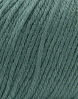 Cascade 220 Superwash