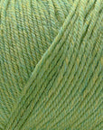 Cascade 220 Superwash