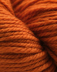 Cascade 220 Superwash® Aran