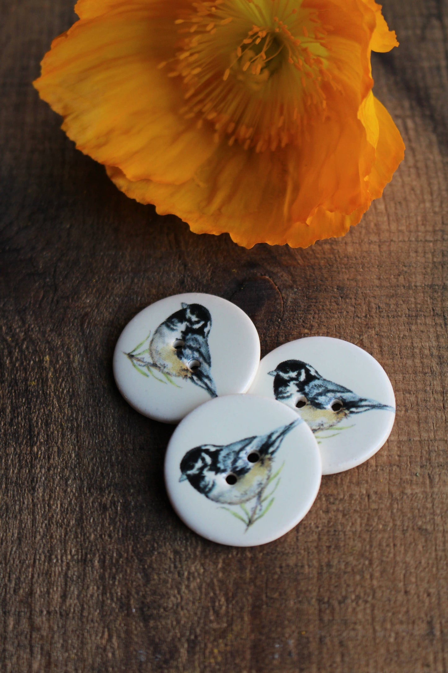 Flying Friends Ceramic Buttons (Set of 10)
