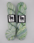 Ewetopia Wisco Sock