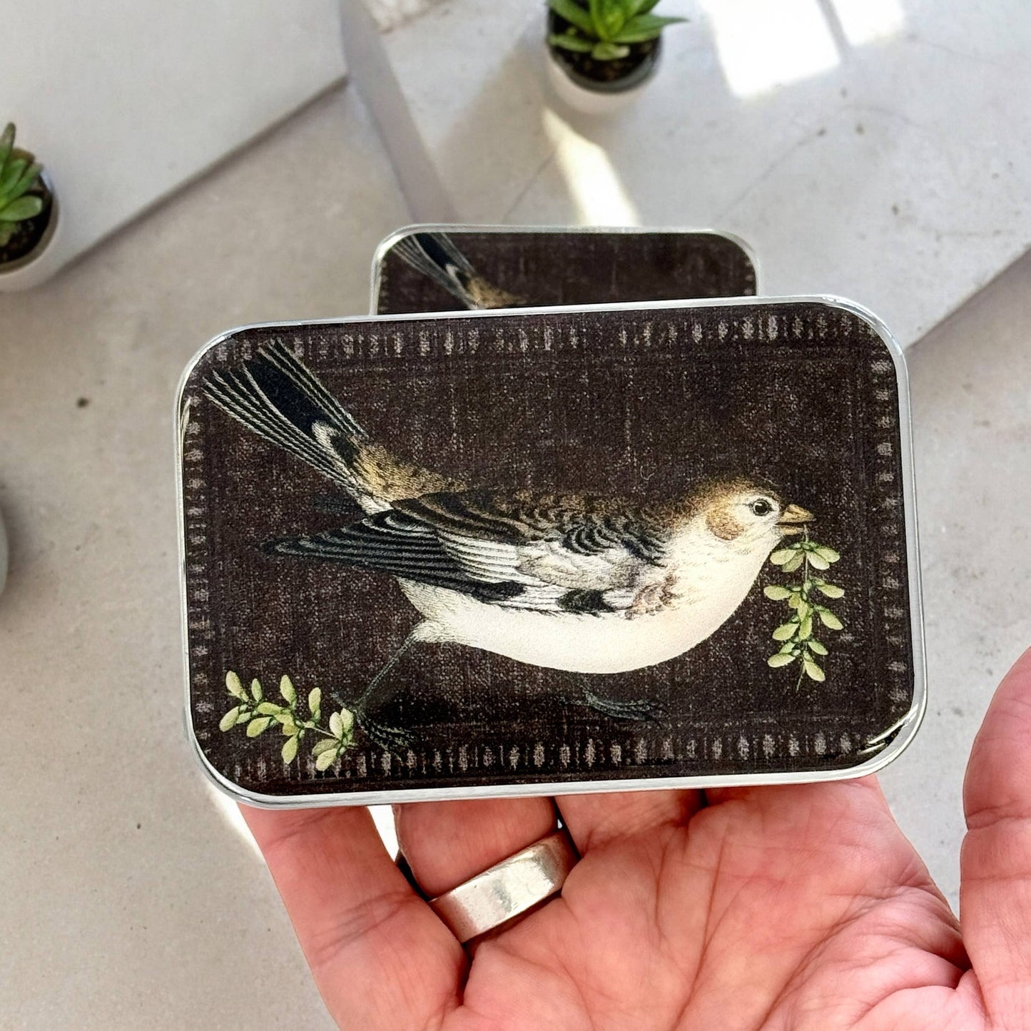 Firefly Notes Notions Tins