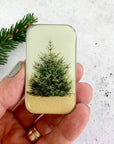 Pine Tree notions tin