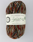 West Yorkshire Spinners (WYS) Signature 4 ply Sparkle Yarn