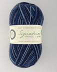 West Yorkshire Spinners (WYS) Signature 4 ply Sparkle Yarn