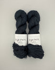 Magpie Fibers Equinox Worsted
