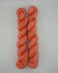 Sun Valley Fibers BFL DK Mini Skeins