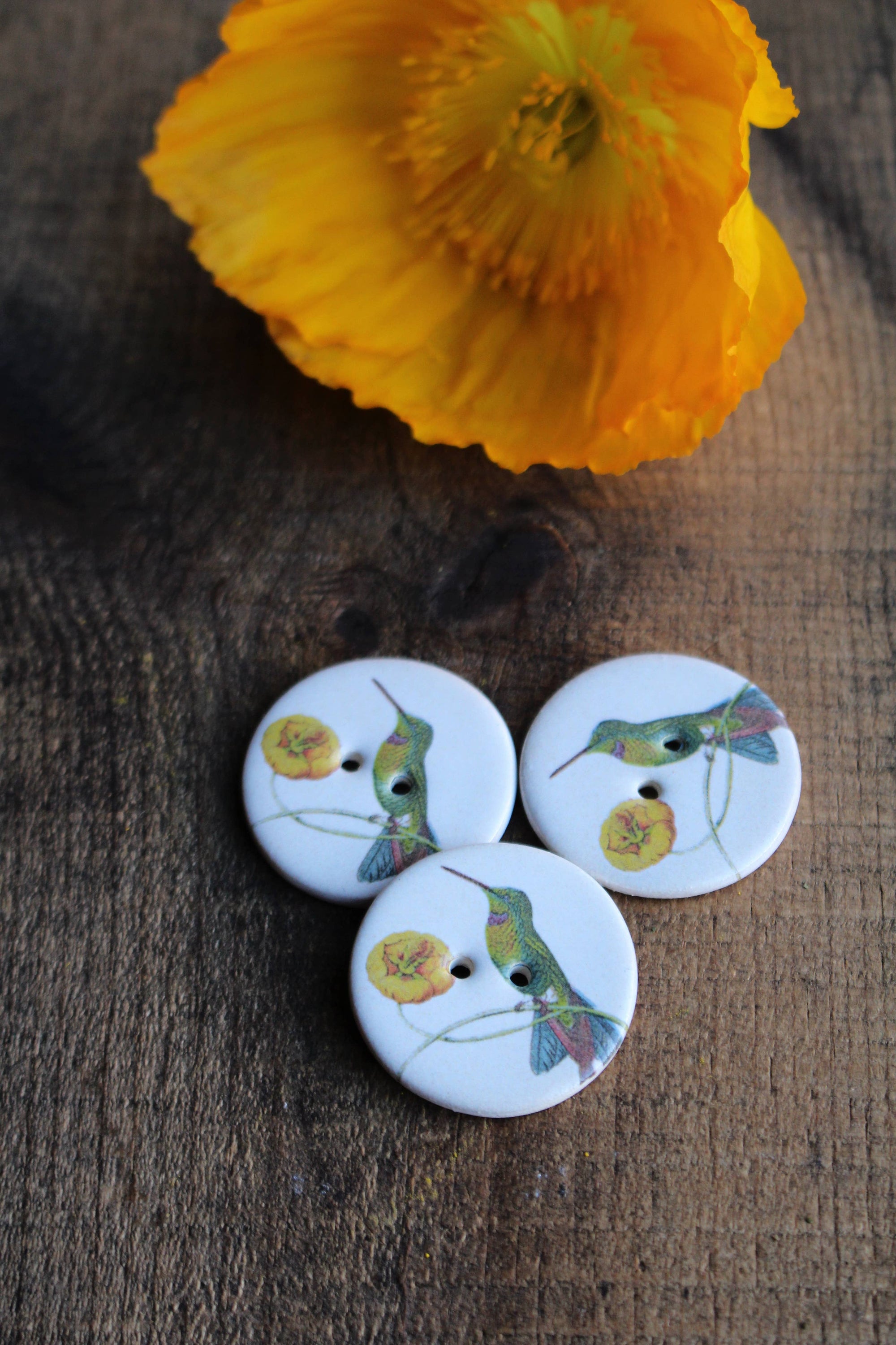 Flying Friends Ceramic Buttons (Set of 10)