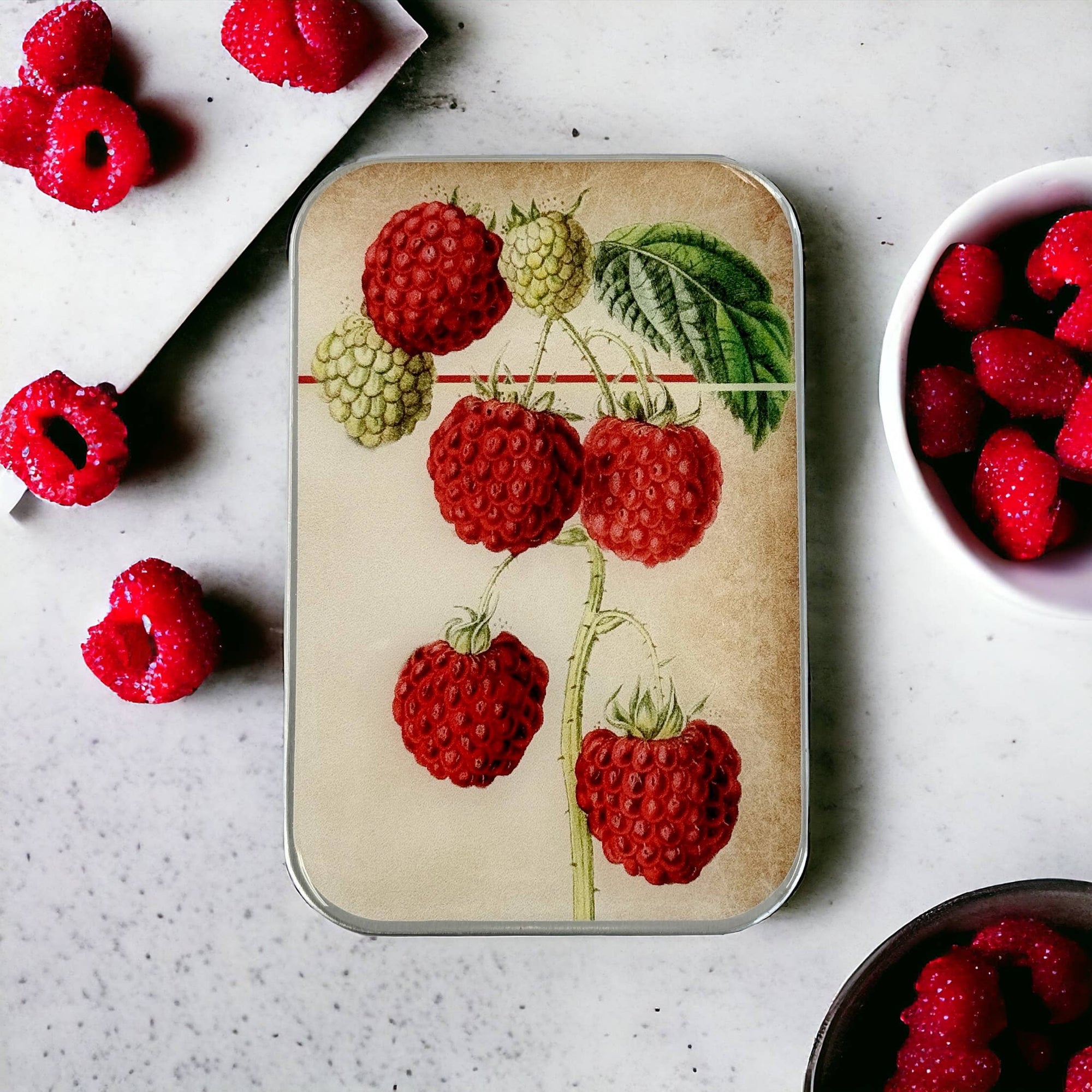 Firefly Notes - Raspberry Notions Tin