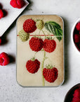 Firefly Notes - Raspberry Notions Tin
