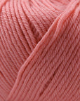 Cascade 220 Superwash