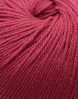 Cascade 220 Superwash