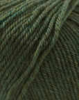 Cascade 220 Superwash