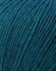 Cascade 220 Superwash