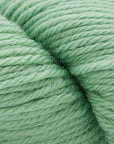 Cascade 220 Superwash® Aran
