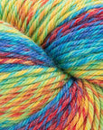 Cascade 220 Superwash Wave