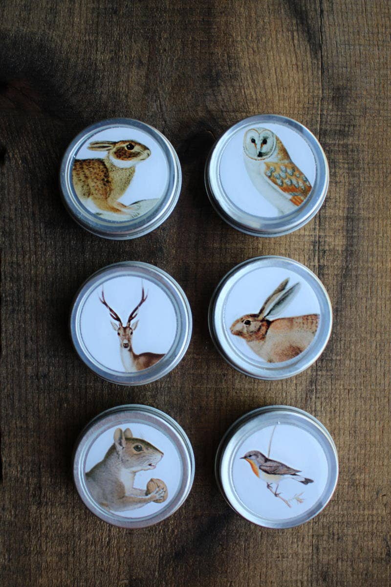 Forest Friends Mini Tins