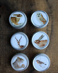 Forest Friends Mini Tins