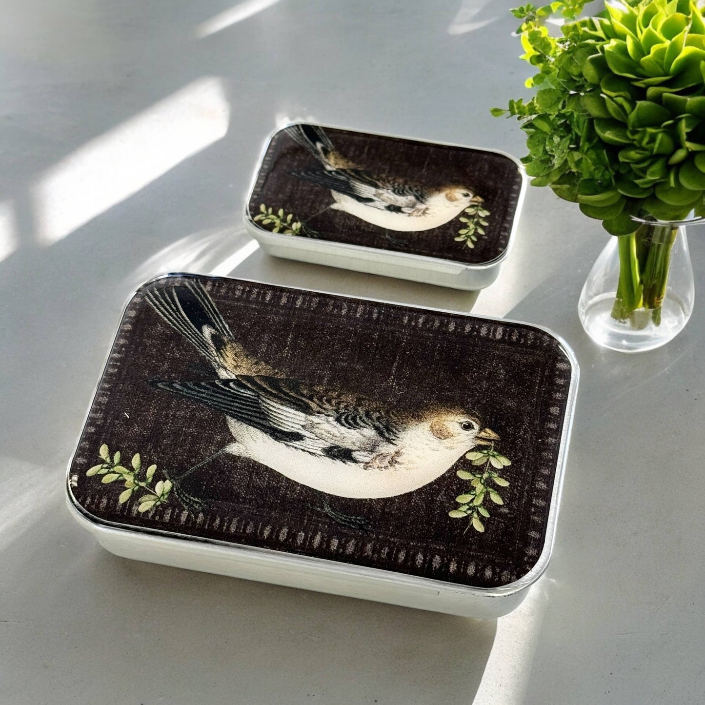 Firefly Notes Notions Tins