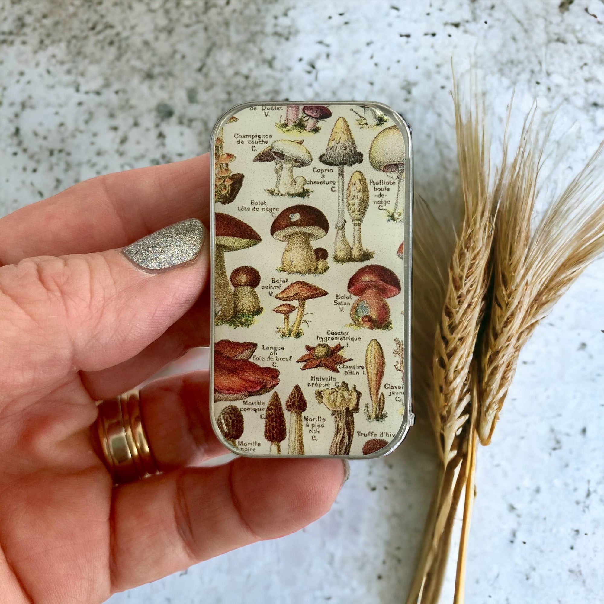 Mushroom Storage Tin