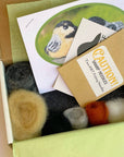 Backyard Birds Beginner Needle Felting Mini-Kit