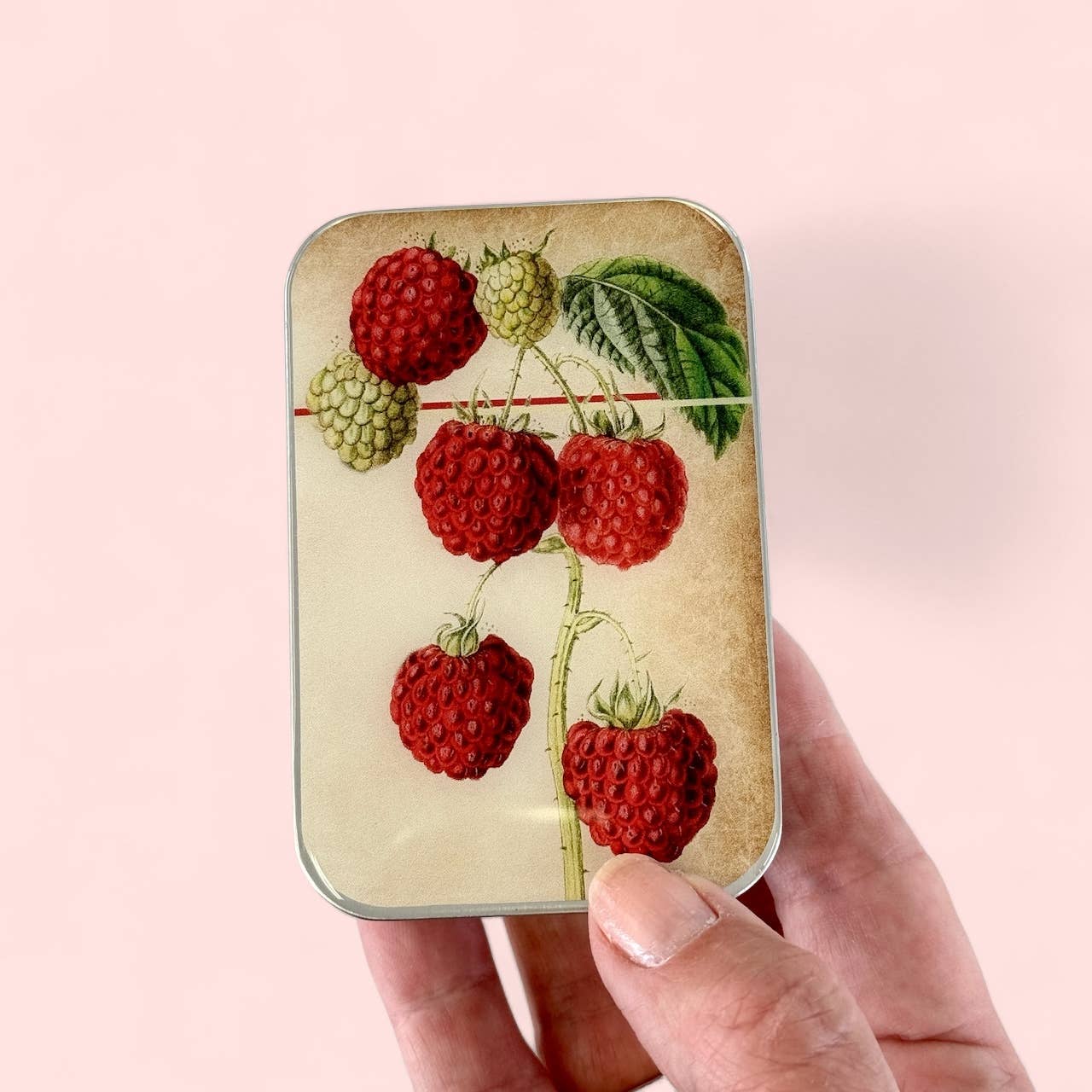 Firefly Notes - Raspberry Notions Tin
