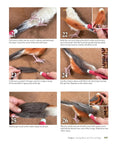 Complete Starter Guide to Needle Felting:  Enchanted Forest