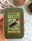 Firefly Notes - Bird Life Notions Tin