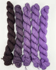 Four Crows Fibers BFL Mash-Up Set
