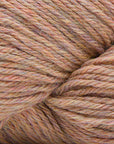 Cascade 220