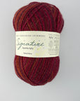 West Yorkshire Spinners (WYS) Signature 4 ply Sparkle Yarn