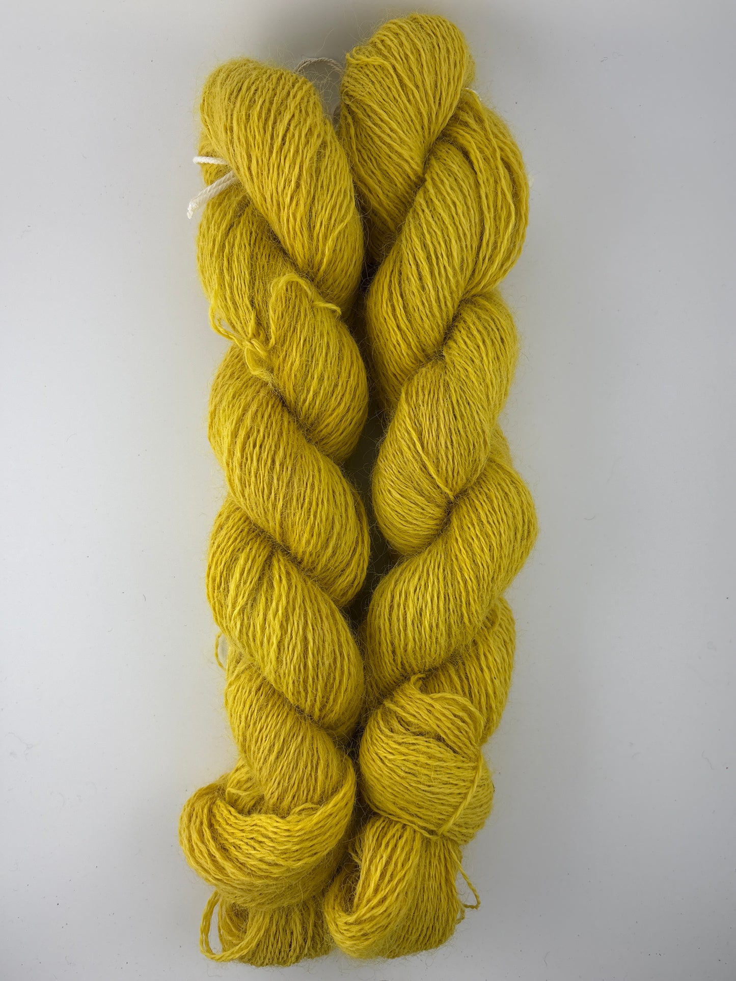 Ewenicorn Leicester Longwool