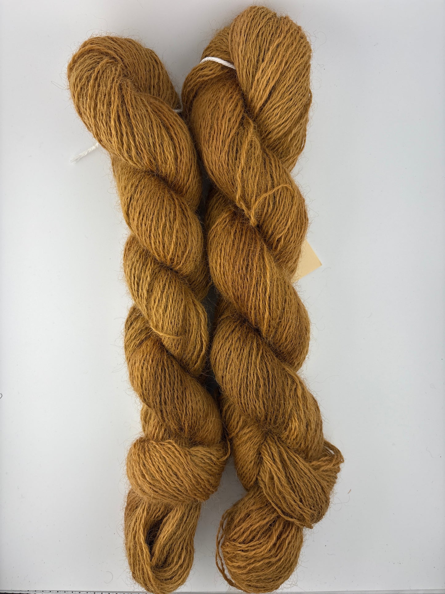 Ewenicorn Leicester Longwool