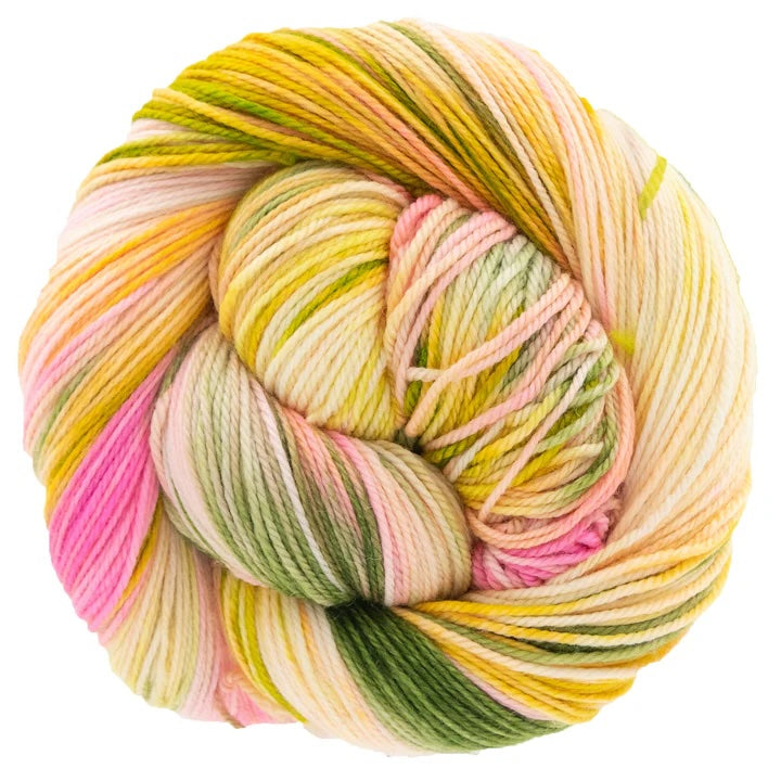 Dream in Color Smooshy Yak