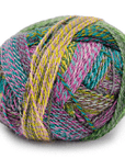 Schoppel Wolle - Zauberball Crazy
