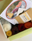 3 Classic Mushrooms Beginner Needle Felting Mini-Kit