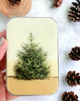 Pine Tree notions tin