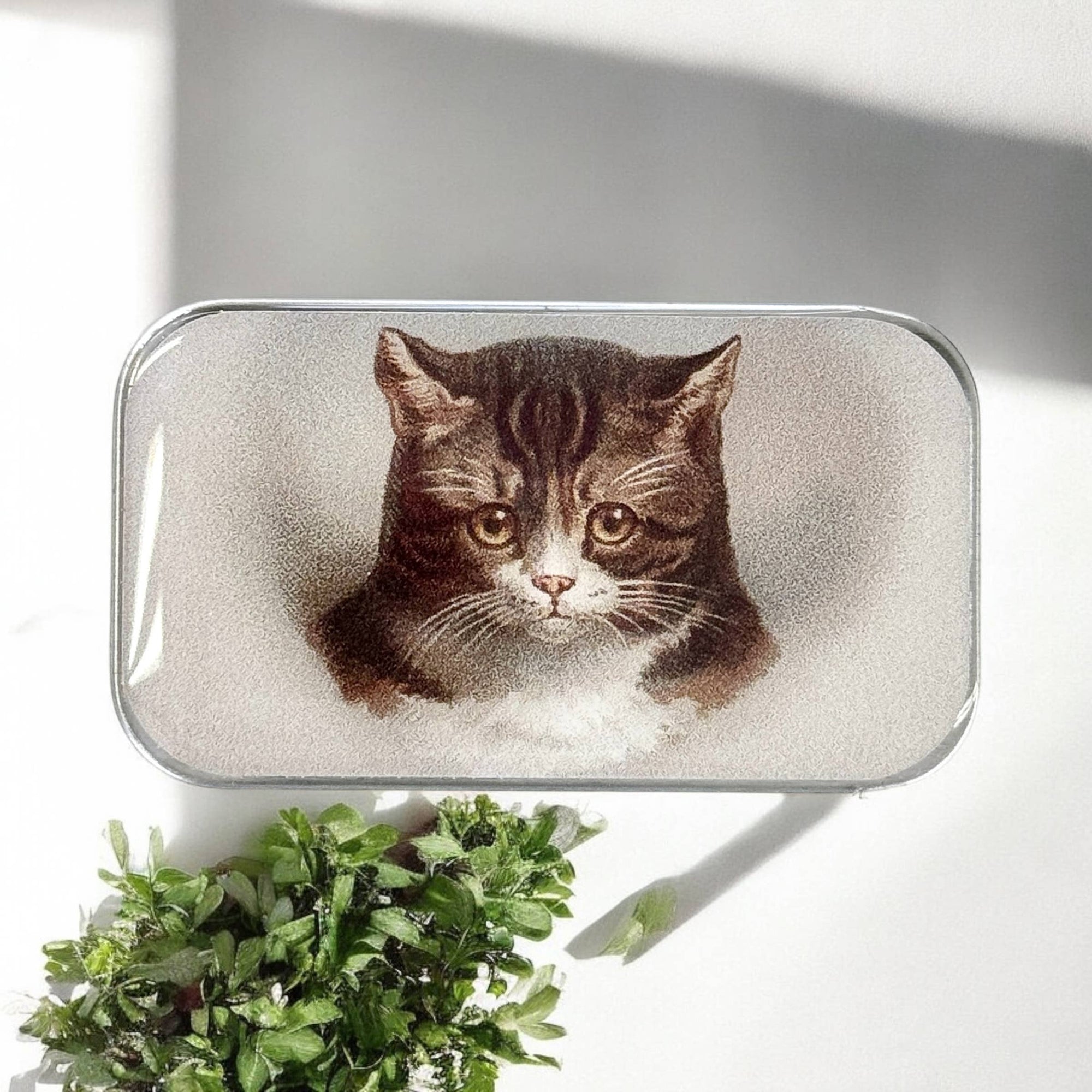Firefly Notes - Cat Notions Tin