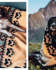 Wilderness Knits for the Home: Linka Neumann