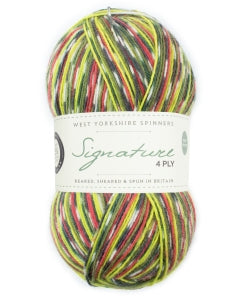 West Yorkshire Spinners Signature 4 ply