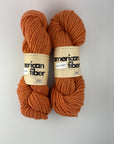 Two skein of Mitchell Wool Co. Rambo DK in Duck Feet (orange)