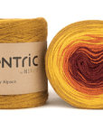 HiKoo Concentric