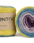 HiKoo Concentric
