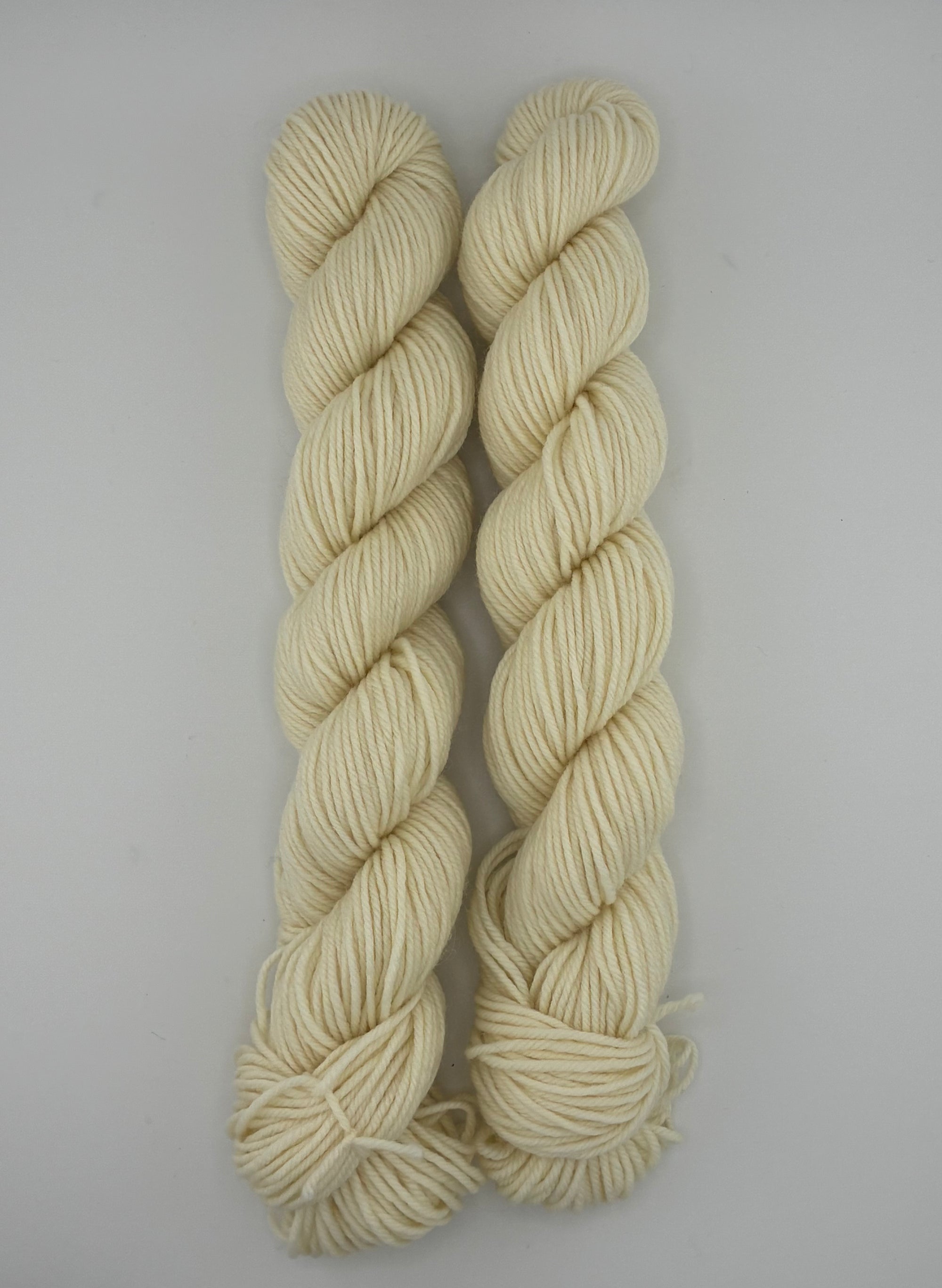 Sun Valley Fibers BFL DK Mini Skeins