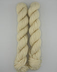 Sun Valley Fibers BFL DK Mini Skeins