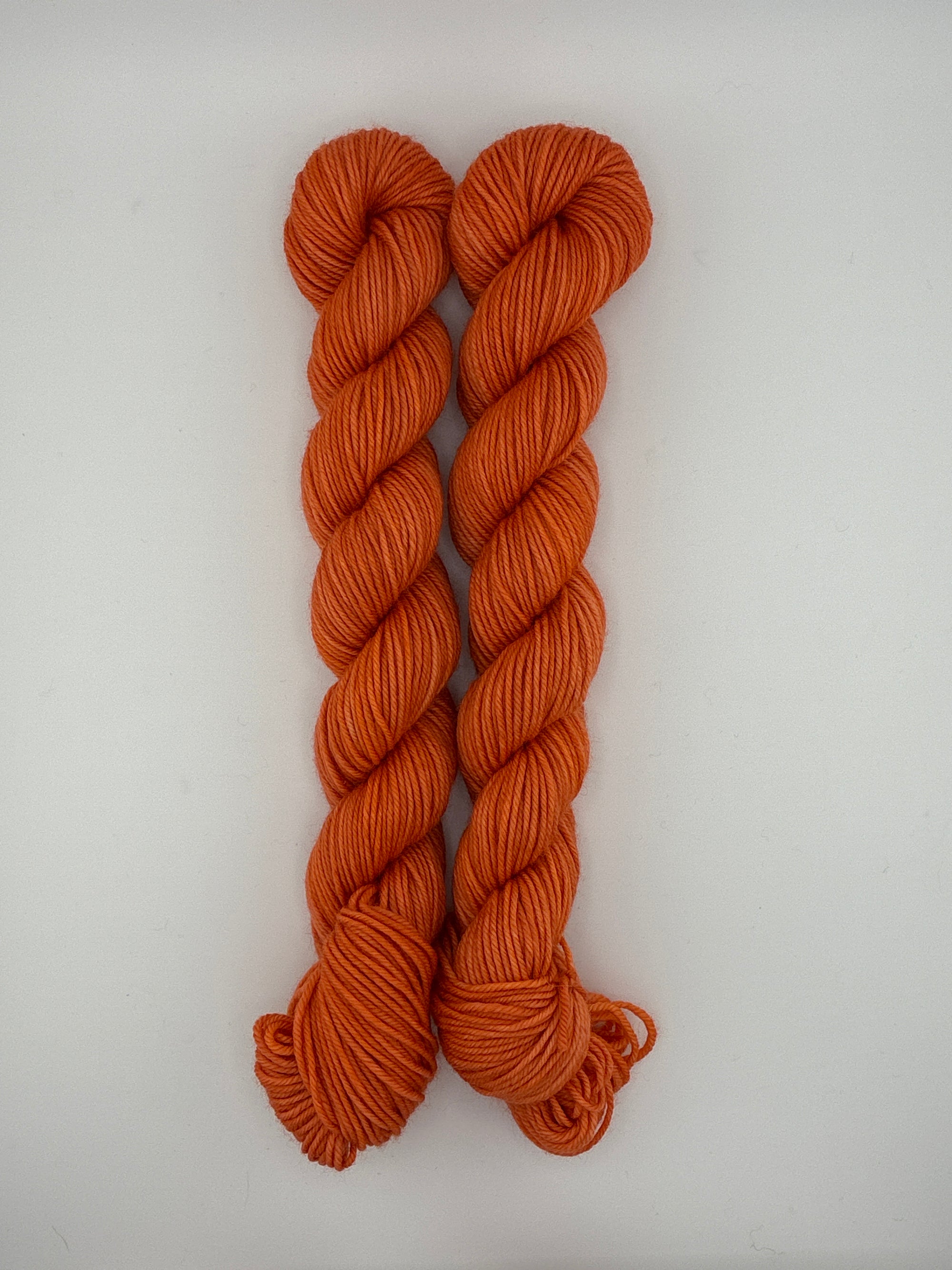 Sun Valley Fibers BFL DK Mini Skeins