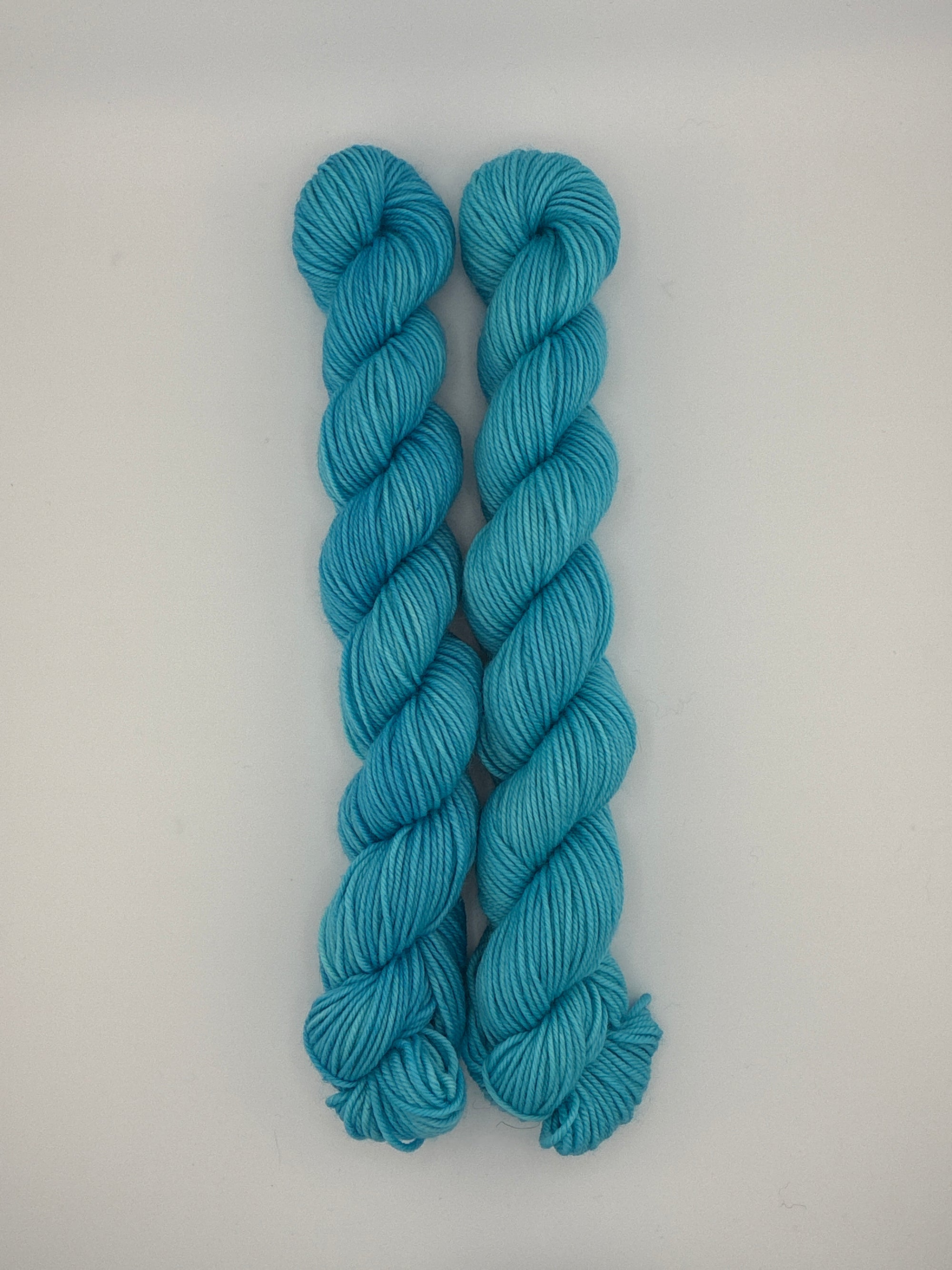 Sun Valley Fibers BFL DK Mini Skeins